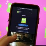 Sự đeo bám cục súc của cú xanh Duolingo khiến người dùng khó chịu