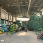 Triệt phá đường dây sản xuất lúa giống giả quy mô lớn và khởi tố Giám Đốc doanh nghiệp Khởi tố Giám đốc tại Công ty TNHH Đầu tư nông nghiệp Á Châu về tội sản xuất buôn bán hàng giả là giống cây trồng.