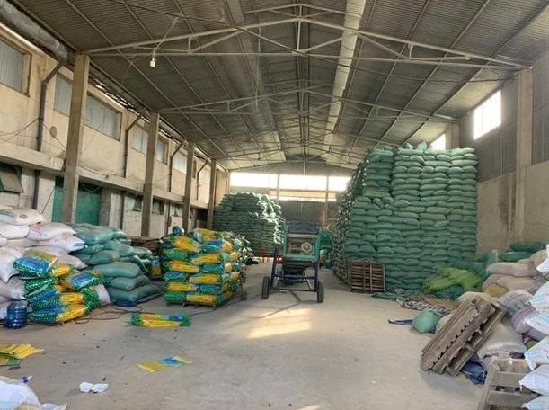 Khởi tố Giám đốc tại Công ty TNHH Đầu tư nông nghiệp Á Châu về tội sản xuất buôn bán hàng giả là giống cây trồng.